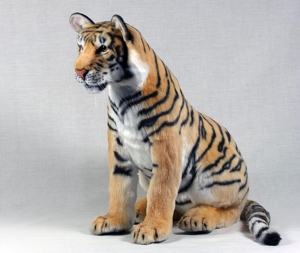 Bengal Tiger by LisaAP on DeviantArt