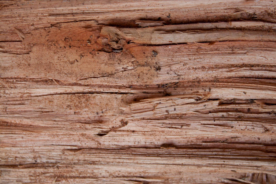 Wood 1 by photoshop-stock