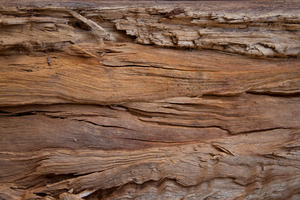 Wood 3 by photoshop-stock