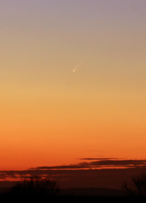 comet McNaught by adorion