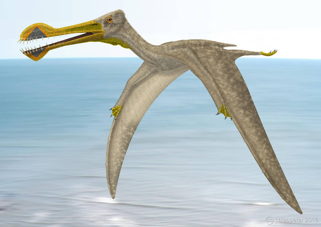 Tropeognathus landfall by paleopeter