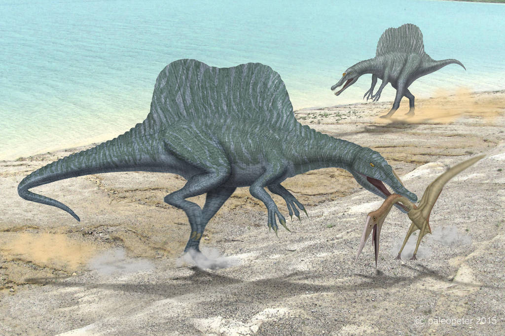 Spinosaurus + Alanqa by paleopeter