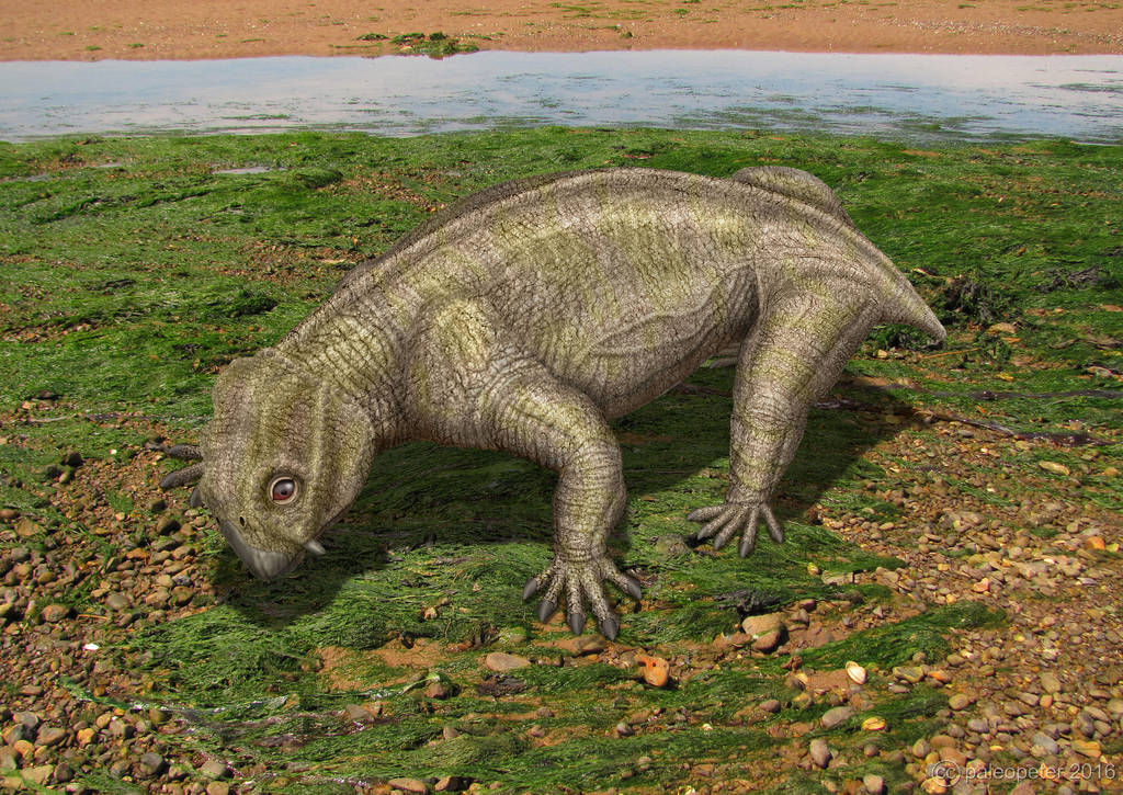 Lystrosaurus by paleopeter