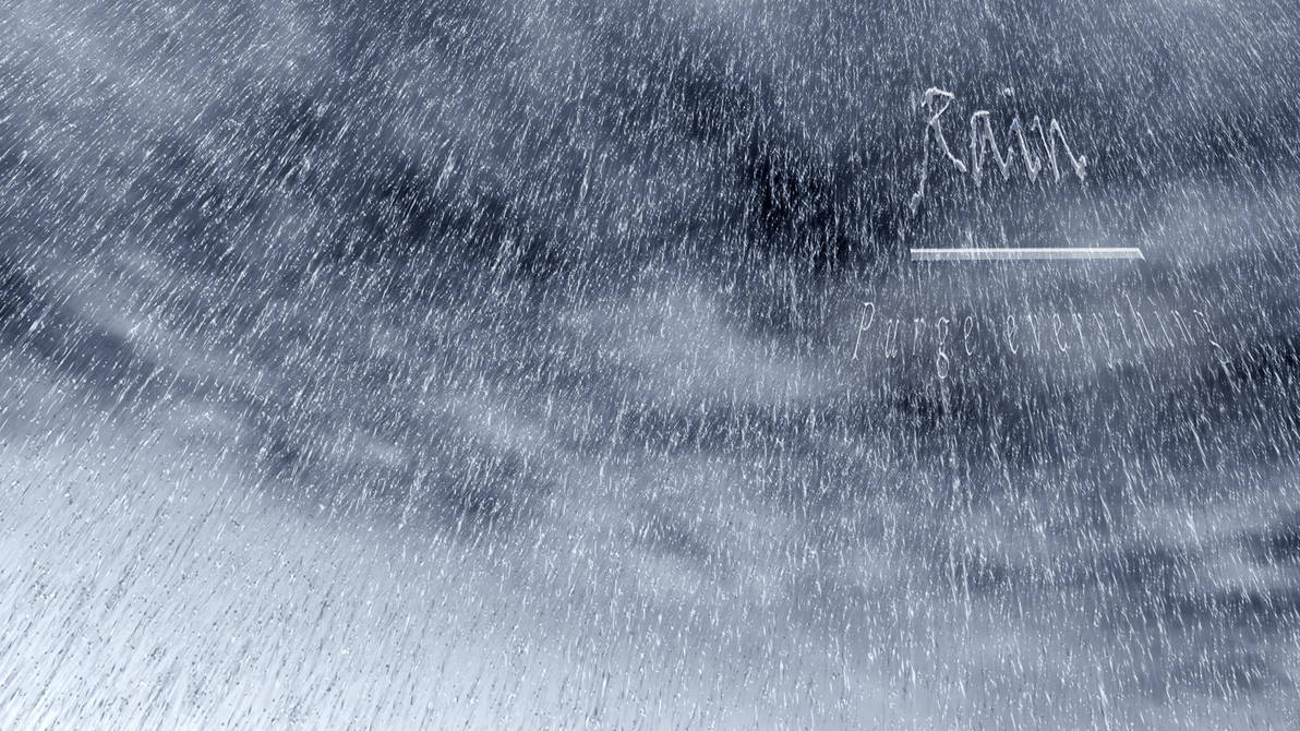 Rain Purge Everything by txvirus