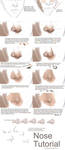 Nose Painting Tutorial by propensity