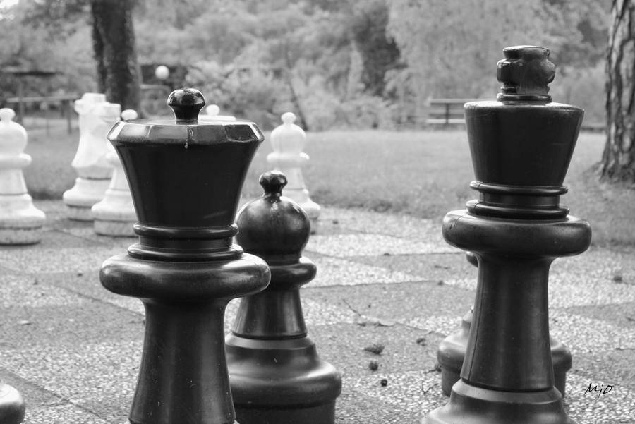 Quelle case? quelle strategie? by amiejo