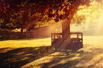 Sunlit by EliseEnchanted