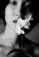 ode to meaning by JeanFan