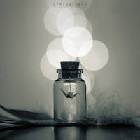 capture you. by JeanFan