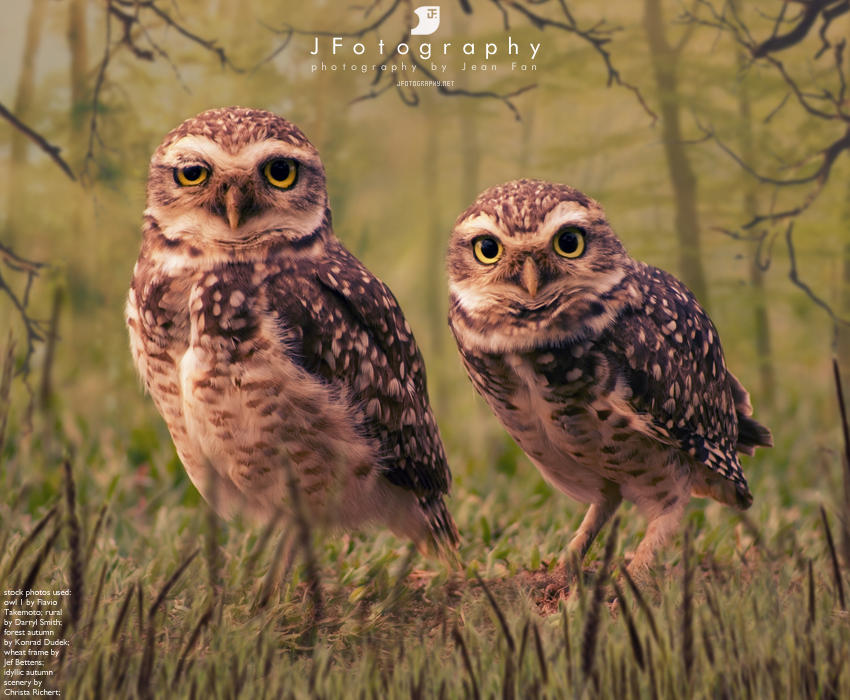 George and Lennie by JeanFan