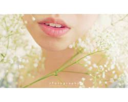 baby's breath by JeanFan