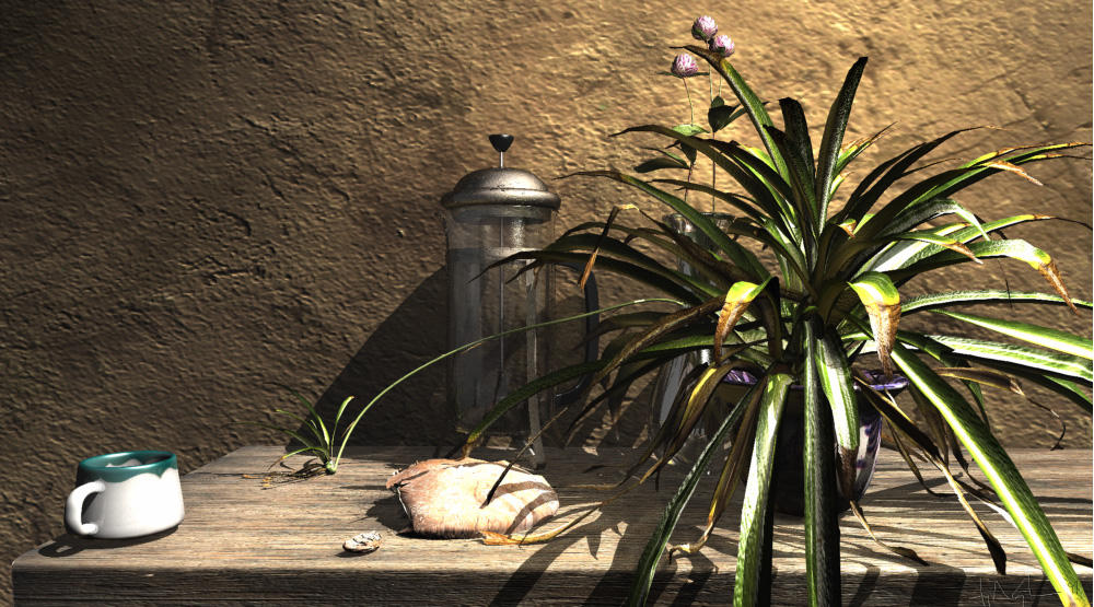 Still Life with Spider Plant by jeremyengleman