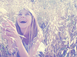 Fly fly by little-moonshine