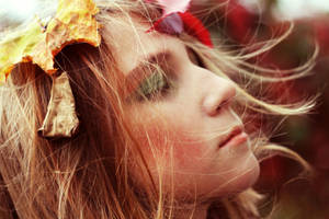 Zephyr by little-moonshine