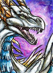 Kata ACEO by WhiteExterior