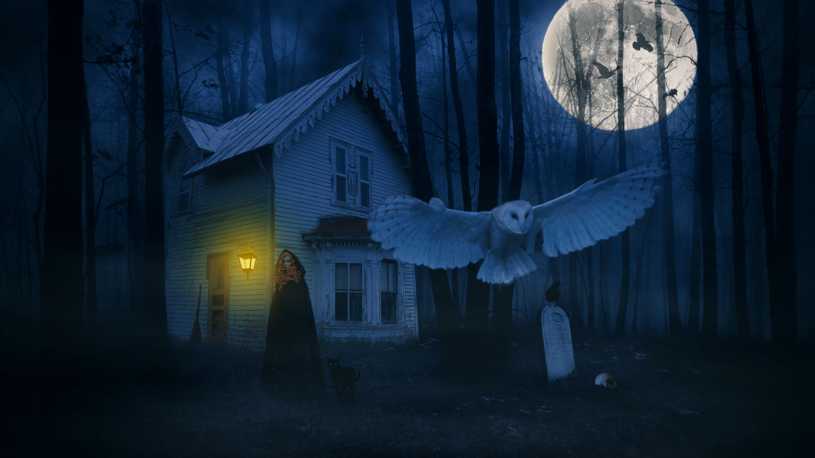Halloween 2015.1 by kado897