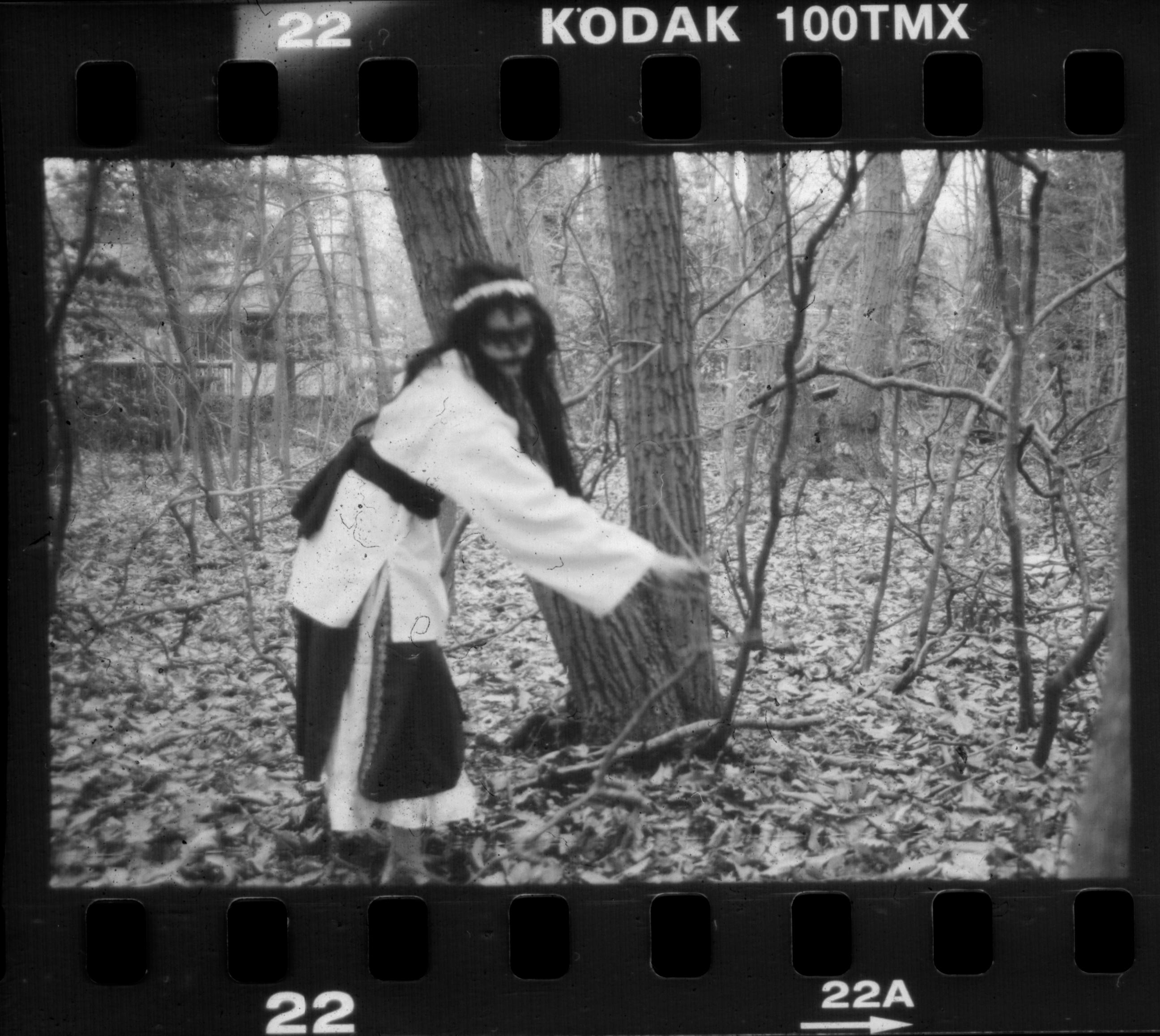 In the Woods No. 1 by sedge