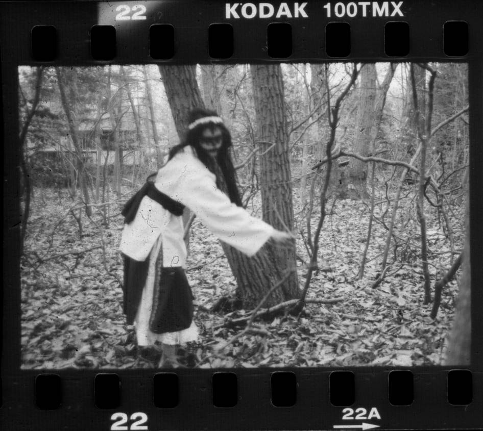 In the Woods No. 1 by sedge