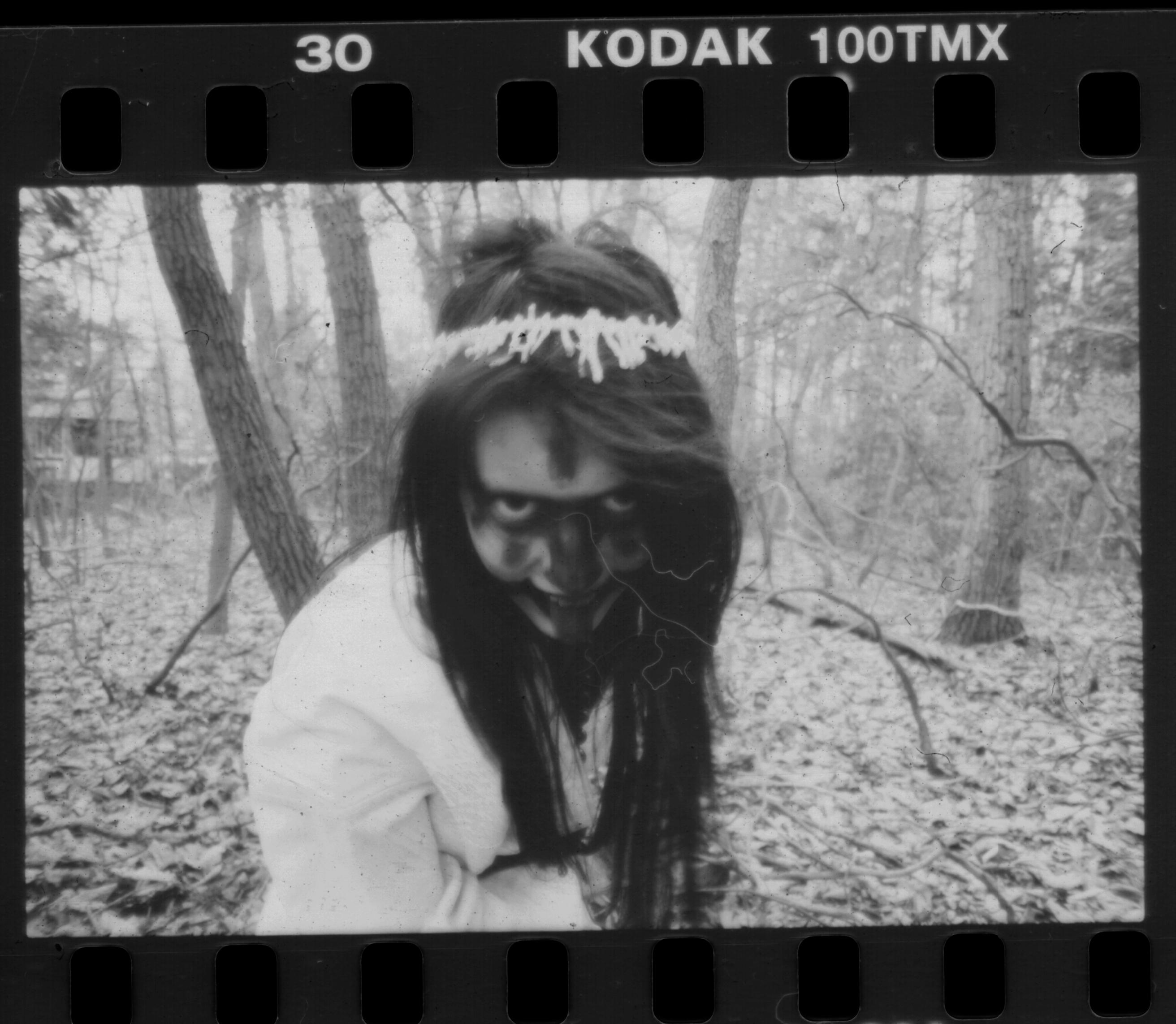 In the Woods No. 8 by sedge