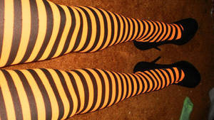 speak now by xpERFEKToNE