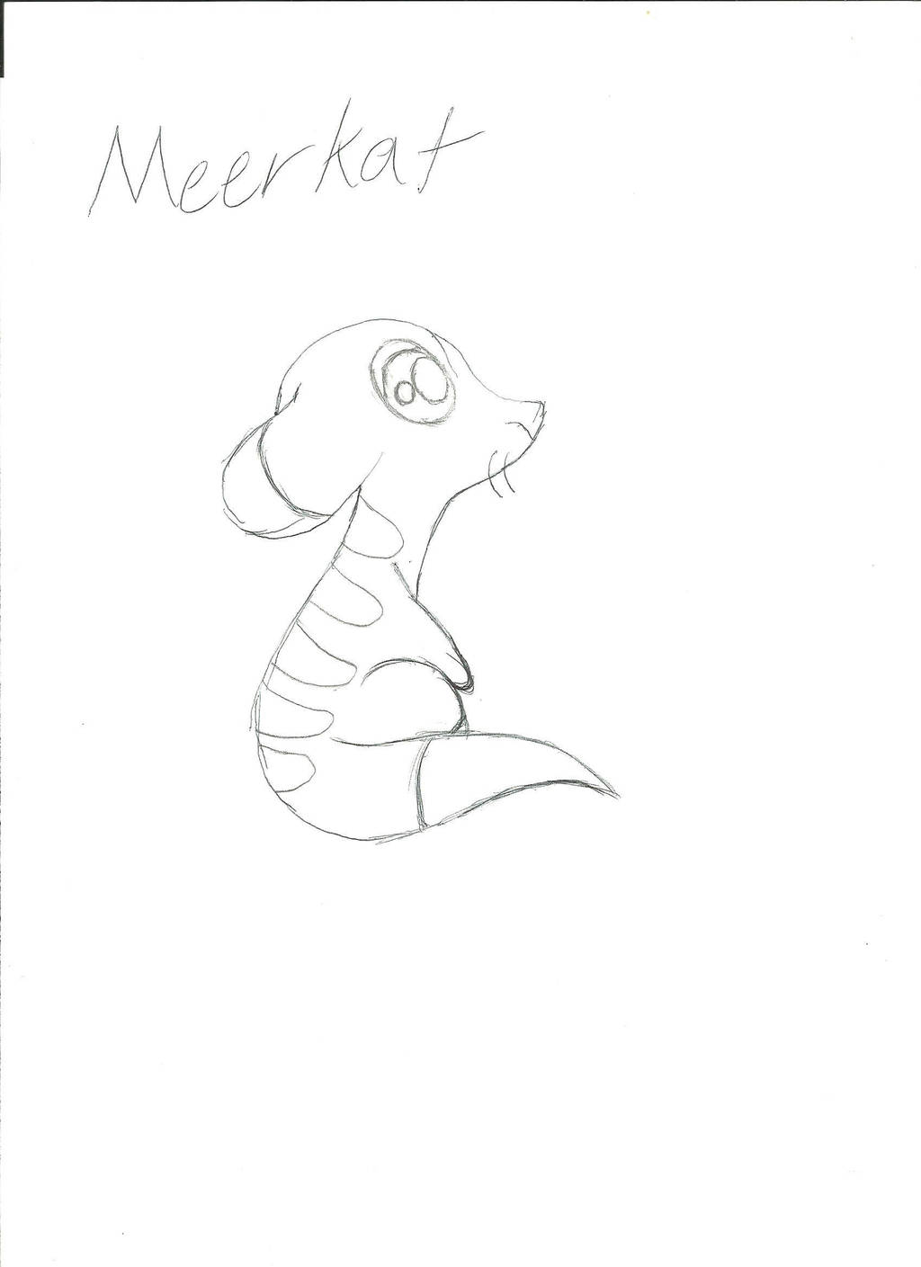Cartoon Meerkat by cutie193 on DeviantArt