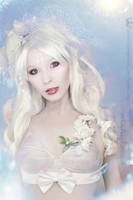 Fairy of the Dawn. by KassandraLeigh