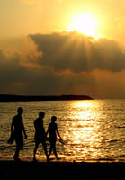 morning sun by anmaria