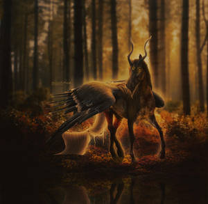 DUSKHERRE by Lunarlueur DUSKHERRE by Lunarlueur