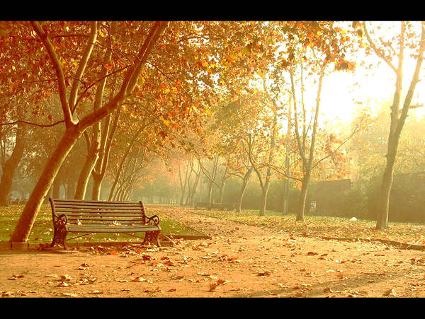 Autumn by drawfactory