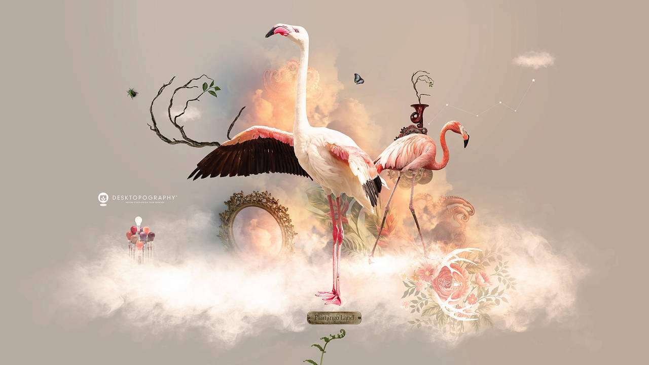 Flamingo Land - Desktopography 2016 by stellartcorsica