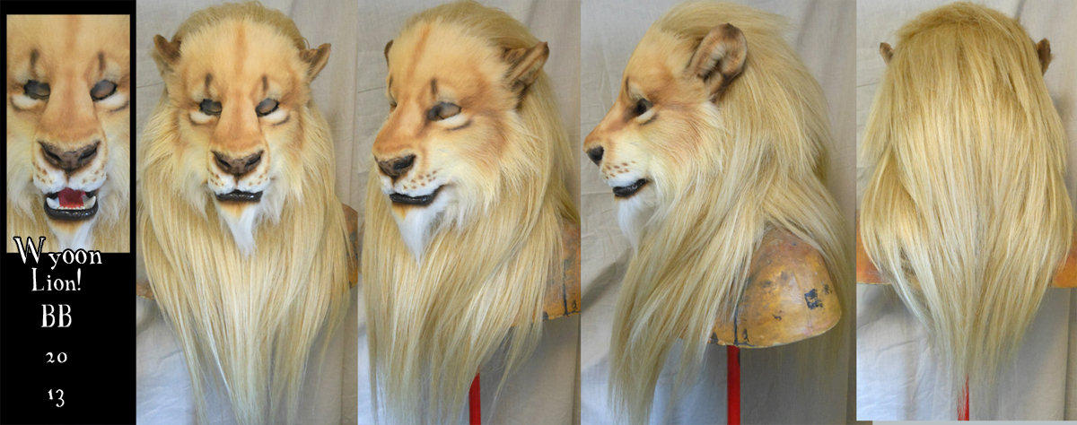 Wyoon Lion by Magpieb0nes
