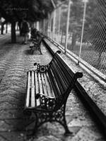 a u t u m n by pigarot