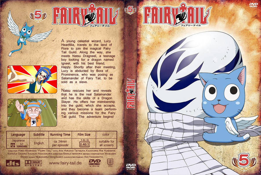 Fairy Tail Custom DVD Cover 05 by Niralina on DeviantArt