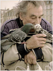 The birds lover by daaram