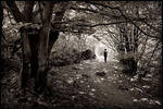 A walk in the forest by daaram