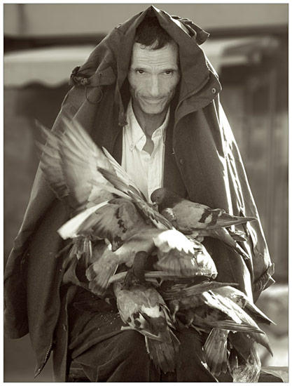 The man with the birds by daaram