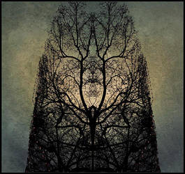 Souls by daaram