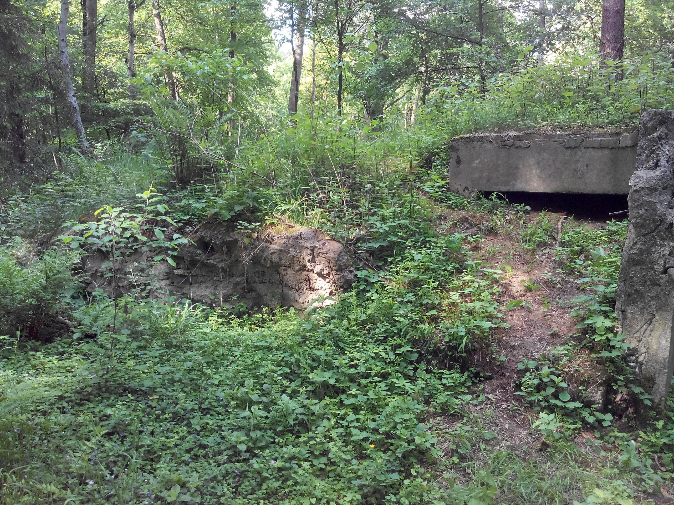 Eibia - More remainings of the bunker by zipclaw