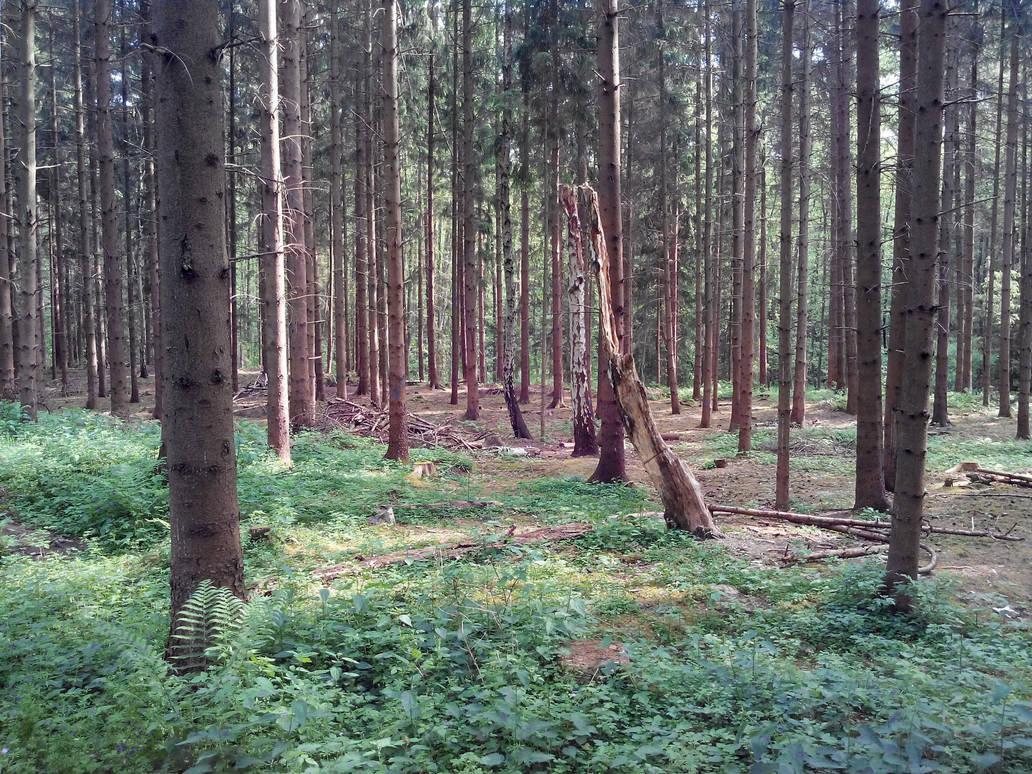 Eibia - The nature around the bunker by zipclaw