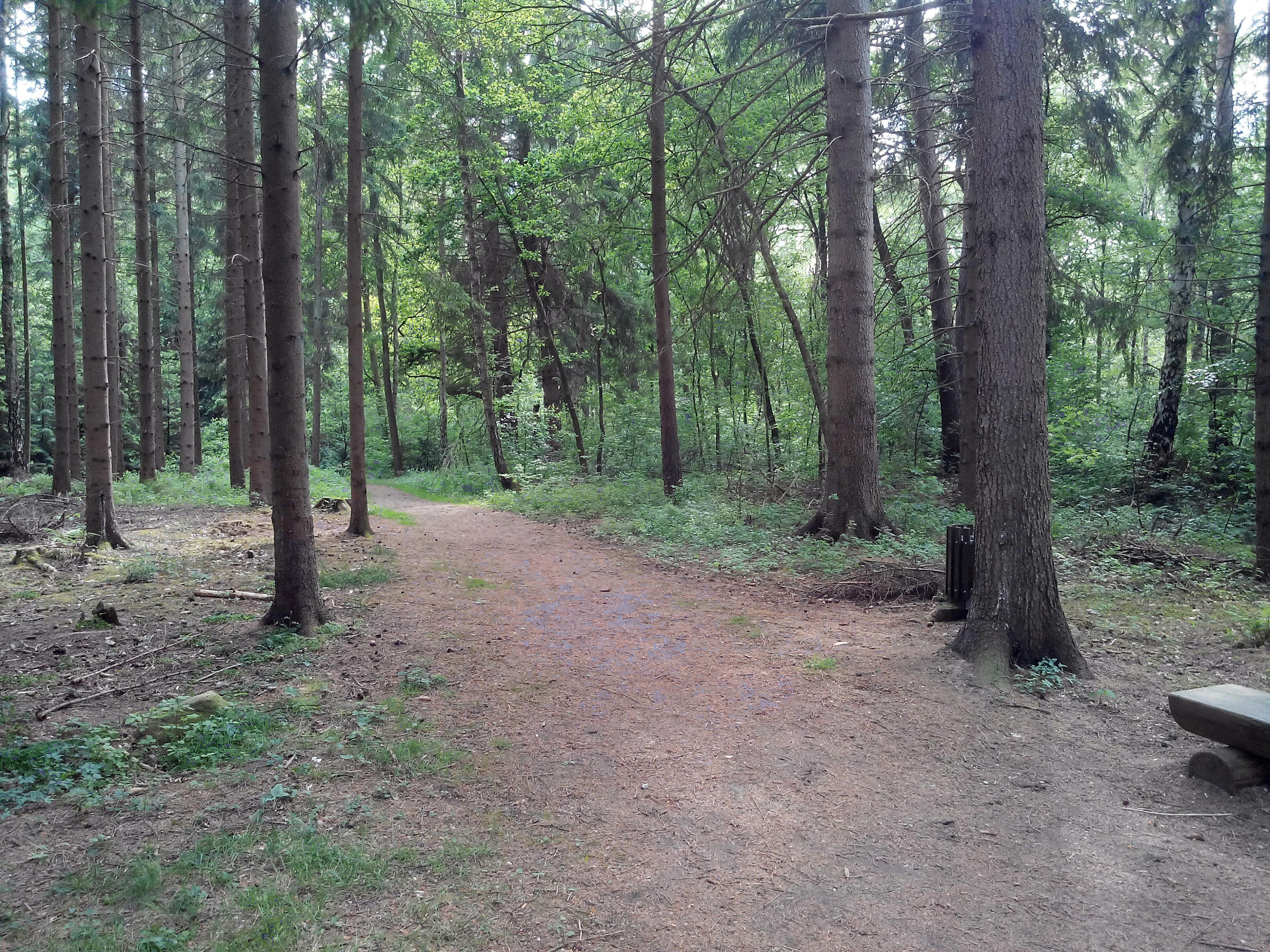 Eibia - One of the many paths leading through this by zipclaw