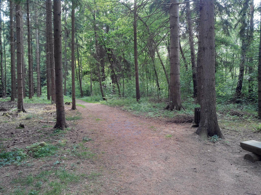 Eibia - One of the many paths leading through this by zipclaw