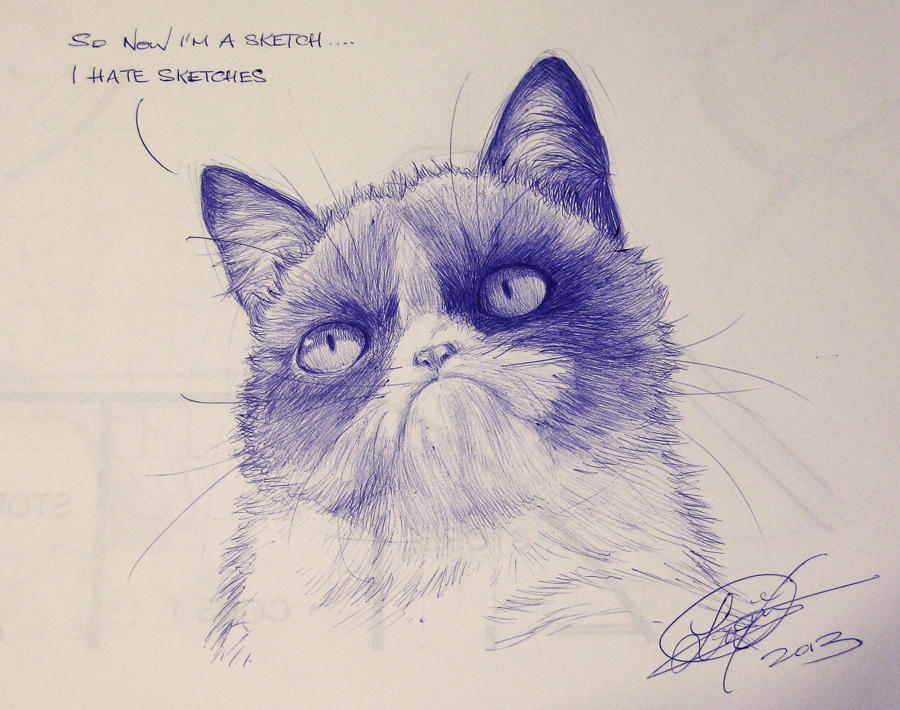 Grumpy Cat Fan Art by TixieLix