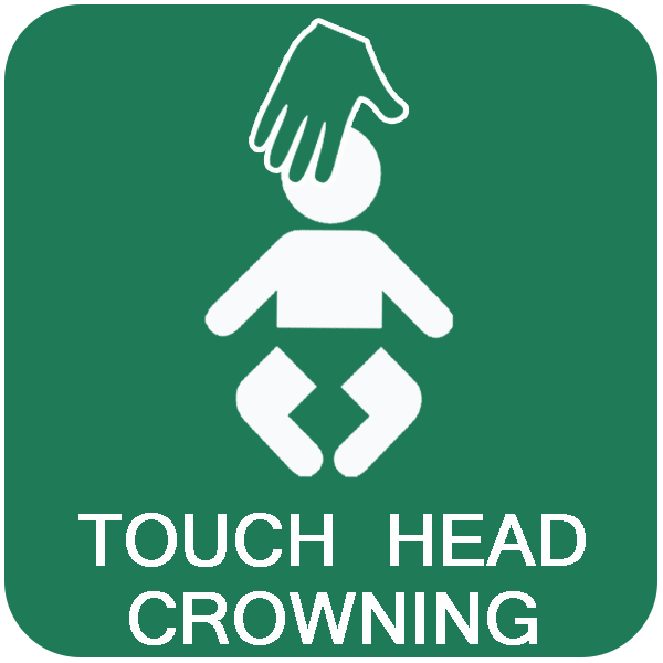 birth plan icon crowning by olayar on deviantart birth plan icon