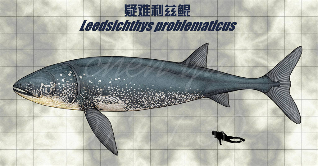 Leedsichthys problematicus by sinammonite on DeviantArt
