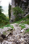 Altitude 1260 meters by Danny707 Altitude 1260 meters by Danny707