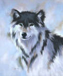 wolf by blackrose95