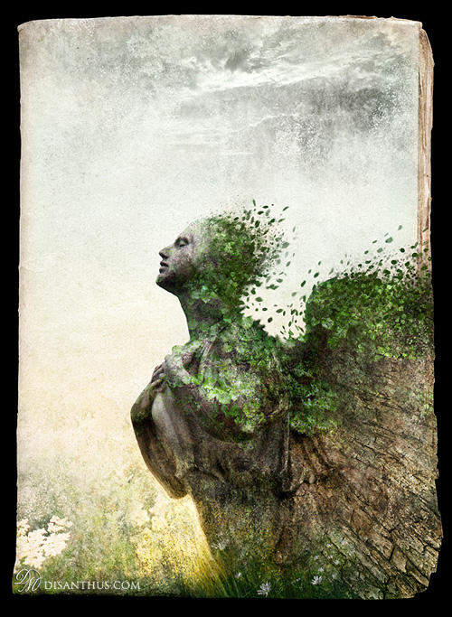 Paper Angels IV by Celtran