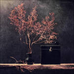 Autumn on my table by KARRR