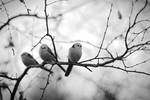 Friends by Modernmyth6277