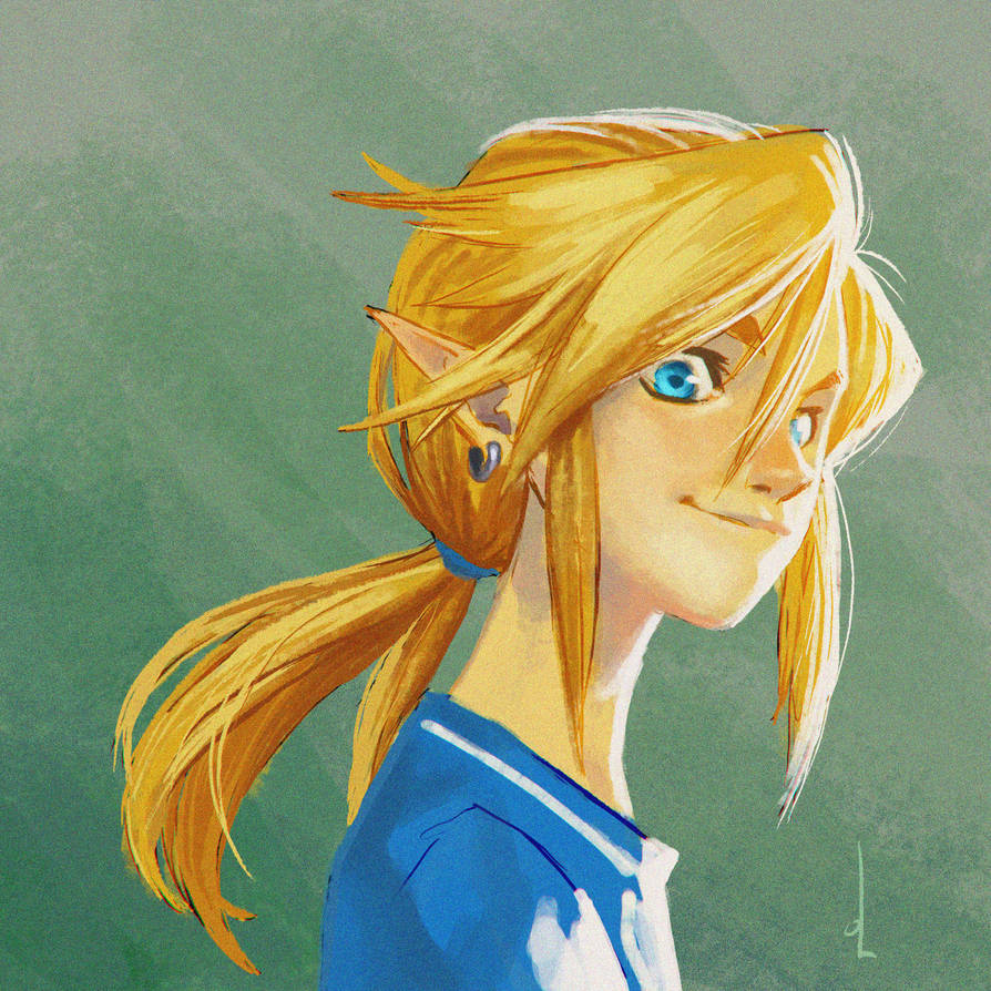 Link BotW by omarito